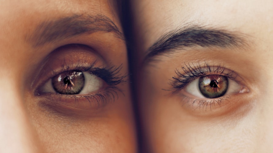 Anatomie van het menselijk oog